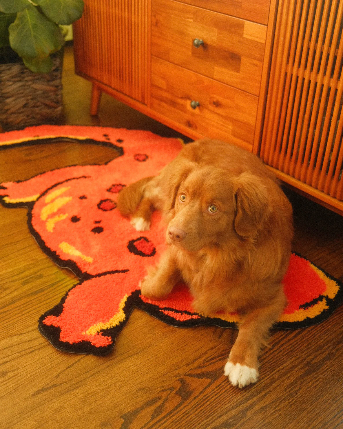 Newt Jumbo Rug - Image 4